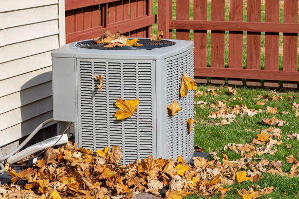 Best Best HVAC companies  in Malden, MO